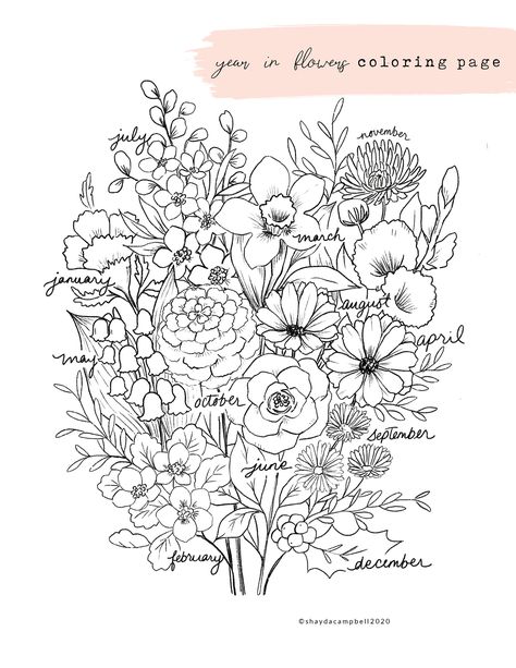 A Year In Flowers Coloring Page | Shayda Campbell on Patreon Doodle Plants, Shayda Campbell, Flowers Coloring, Flower Line Drawings, Flower Art Drawing, Floral Embroidery Patterns, Floral Drawing, Line Art Design, Bullet Journal Art