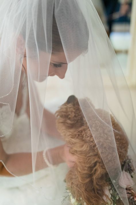 Wedding And Dog Photos, First Look With Dog Wedding, Bride With Dog Photo Ideas, Dog Wedding Photo Ideas, Bride Dog Pictures, Service Dog At Wedding, Wedding Shoot With Dogs, Bridal Pictures With Dog, Dog Beach Wedding