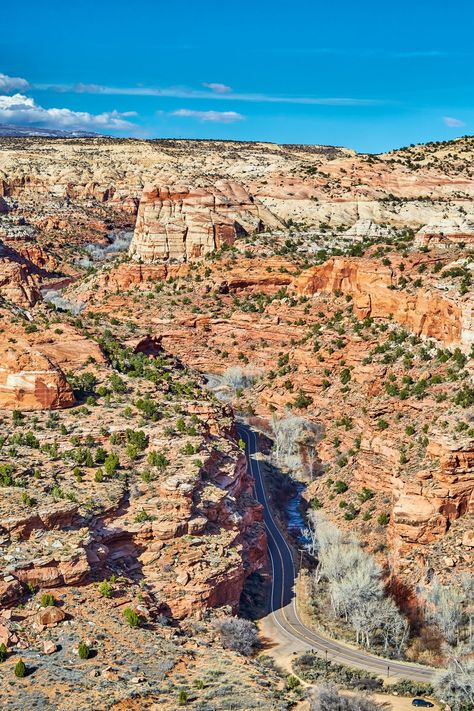 Spring Architecture, Beach Vacation Spots, Skyline Drive, Capitol Reef National Park, Forest View, Dude Ranch, Scenic Byway, Rocky Mountain National Park, Scenic Drive