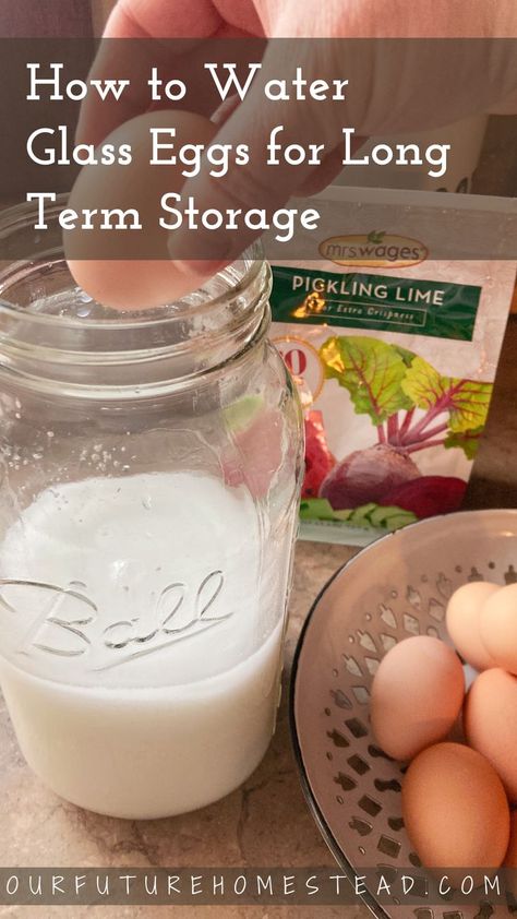 Learn how to water glass eggs for long term food preservation. Glassing Eggs, Lime Eggs, Homestead Food, Preserving Eggs, Glass Eggs, Storing Eggs, Homemade Spice Mix, Lime Water, Cooking For Beginners