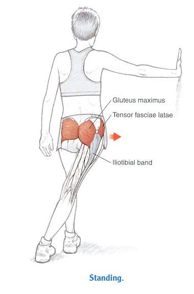 ITB stretch Snapping Hip Syndrome, Hip Anatomy, Bursitis Hip, Massage Therapy Business, Hip Pain Relief, Piriformis Stretch, Sciatica Exercises, Piriformis Syndrome, Back Stretches For Pain