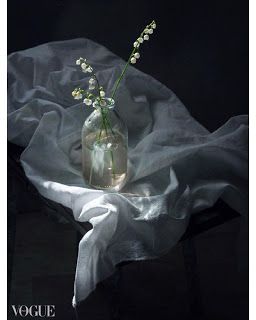 Dreamy Still Life Photography, Still Life Flowers Photography, Wabi Sabi Photography, Light And Shadow Photography, Stilllife Photography, Still Life Composition, Still Life Ideas, Vintage Flowers Wallpaper, Object Photography