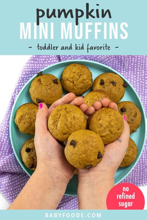 Healthy Mini Pumpkin Muffins for Toddler + Kids Organic Baby Food Recipes, Muffins For Toddlers, Pumpkin Mini Muffins, Mini Pumpkin Muffins, Toddler Muffins, Baby Muffins, Frozen Pumpkin, Toddler Breakfast, Organic Baby Food