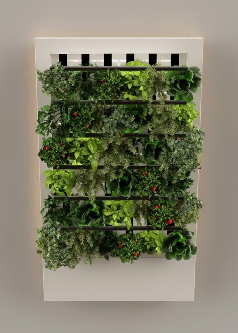 Hydroponic Wall Garden Indoor, Hydroponic Wall Garden, Vegetable Wall Garden, Hydroponic Wall Indoor, Indoor Vertical Garden Wall, Hydroponic Wall, Modern Indoor Plants, Wall Garden Indoor, Indoor Farm