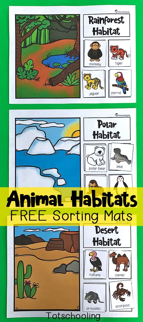 Animal Habitats Preschool, Habitat Activities, Animal Habitat, Rainforest Habitat, Jungle Thema, Sorting Mats, Fun Educational Activities, Desert Animals, Science Activities For Kids