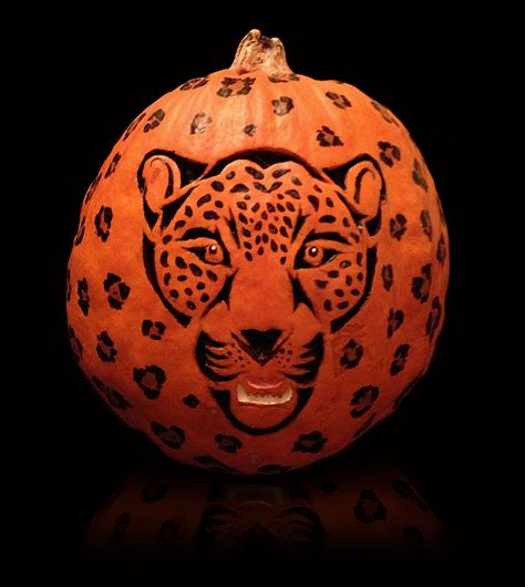 Cheetah Pumpkin Carving, Cheetah Pumpkin, Pumpkins Painting, Leopard Pumpkin, Halloween Pumpkin Designs, Pumpkin Designs, Pumpkin Carving Ideas, Pumpkin Ideas, Fall Time