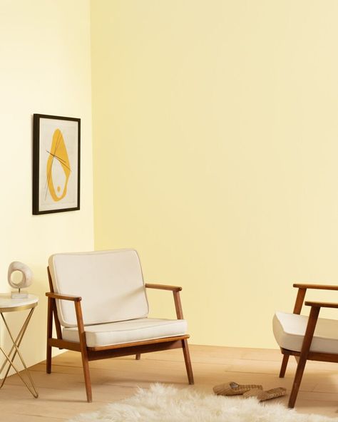 Based on 18th century white paints tinged with a touch of yellow ochre pigment, this pale, lemony yellow is youthful and fresh. Light Yellow Walls, Paint Color Swatches, Cream Paint Colors, Cream Paint, Yellow Interior, Benjamin Moore Colors, Yellow Bedroom, Yellow Bathrooms, Best Paint Colors