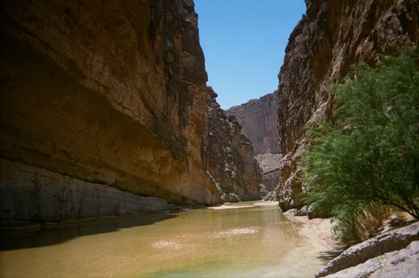 West America Aesthetic, Vintage Texas Aesthetic, Saddle Tramp, Texas Aesthetic, West Aesthetic, Big Bend National Park Texas, I Love My Mother, Aesthetic Film, Sun Aesthetic