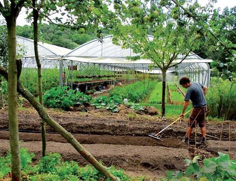 micro-ferme agriculture bio écosystème modèle agriculture Micro Farm, Eco Garden, Mushroom Cultivation, Farm Plans, Urban Agriculture, Permaculture Design, Market Garden, Garden Help, Sustainable Agriculture