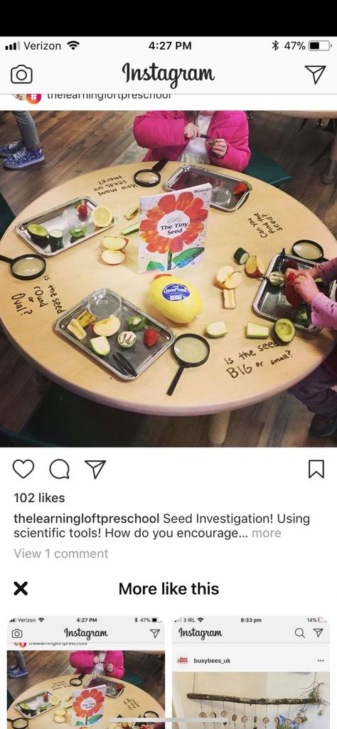 Tiny Seed Activities, Spring Eyfs, Healthy Food Activities, Garden Unit, Preschool Garden, Eyfs Classroom, The Tiny Seed, Nursery Activities, Food Activities