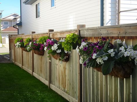 Hanging Planter Boxes Along Fence, Hanging Garden On Fence, Fence Plants Ideas, Plants On Fence Ideas, Planters On Fence, Fence Flower Boxes, Plants On Fence, Hanging Plants On Fence, Flowers On Fence