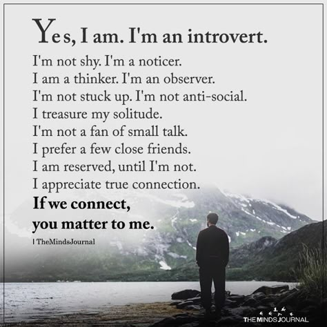 Introvert Personality, Behind Blue Eyes, Introvert Quotes, Motivation Positive, Vie Motivation, Going Solo, Personality Type, Spiritual Development, Funny Sayings