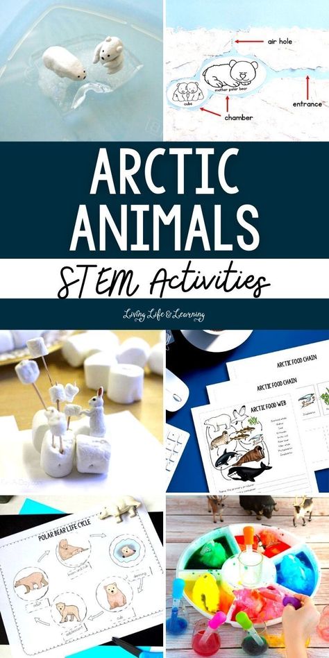 These Arctic Animals STEM Activities are not only entertaining, but they also provide a unique opportunity for children to learn about the fragile ecosystem of the Arctic. Through homeschool hands-on experiments and immersive activities, children will gain a deep understanding of how polar animals adapt to their harsh environment and the effects of climate change on their habitats. Arctic Animals For Preschool, Arctic Science Experiments For Kids, Artic Fox Activities For Kids, Artic Animal Activities For Preschoolers, Arctic Unit Study, Polar Habitat Project, Animals Stem Activities, Arctic Activities For Kids, Arctic Habitat Project For Kids