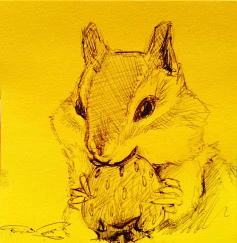 Pen doodling of chipmunk eating strawberry. Chipmunk Doodle, Chipmunk Sketch, Chipmunk Drawing, Strawberry Sketch, Chipmunk Art, Land Creatures, Eating Strawberry, Eastern Chipmunk, Animal Eating