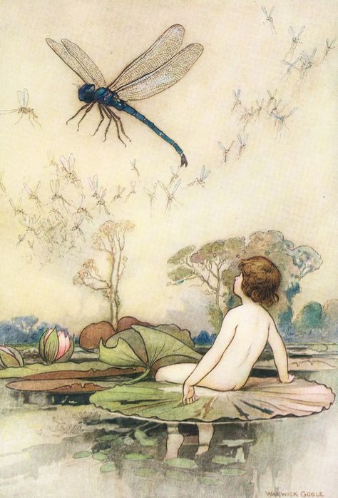 Giant Dragonfly, Warwick Goble, Dragonfly Images, Fairy Tale Illustration, Dragonfly Art, Vintage Fairies, Fairy Art, A Dragon, Childrens Illustrations