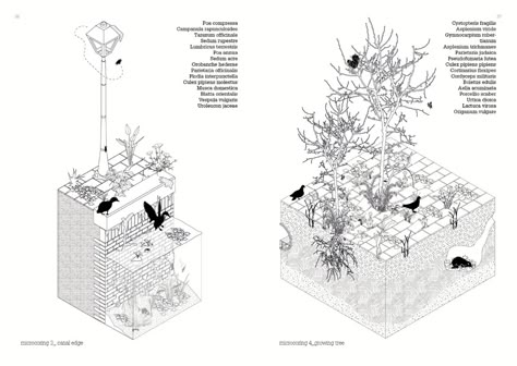 Landscape Diagram, Landscape Architecture Diagram, Landscape Architecture Graphics, Axonometric Drawing, Landscape Architecture Plan, Architecture Diagrams, Architectural Diagrams, Urban Design Diagram, Section Drawing