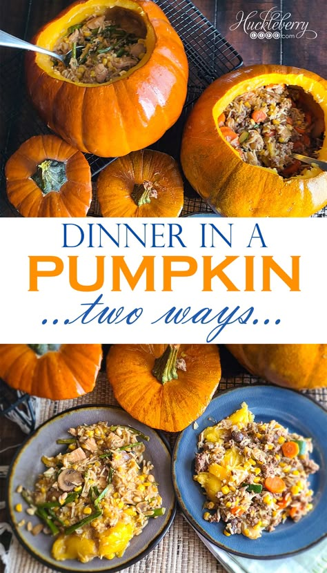 Meals In A Pumpkin, Dinner In A Pumpkin Six Sisters, Food In Pumpkins, Casserole In A Pumpkin, Pie Pumpkin Recipes Dinner, Chicken In A Pumpkin, Dinner In A Pumpkin Hamburger, Meal In A Pumpkin, Dinner In Pumpkin