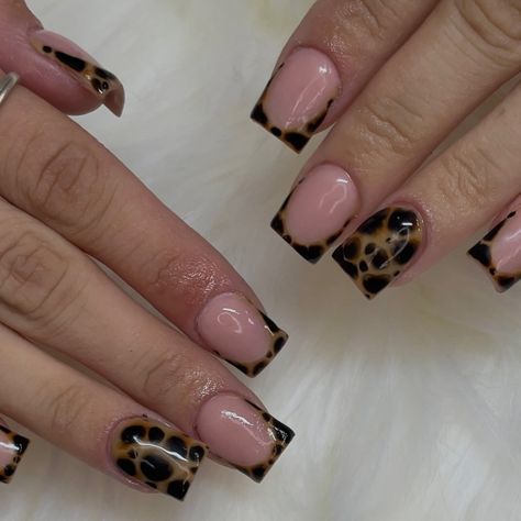 Medium Acrylics Square, Short Nail Cheetah Designs, Square Nail Inspo Fall, Stilleto Cheetah Nails, Cheetah And Black Nails, Square Leopard Print Nails, Cheetah Nails Square, Short Square Nail Ideas Fall, Short Fall Nails 2024 Trends