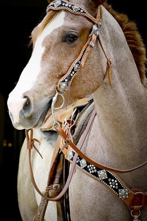 cant get any more country than this Paint Horse, Western Riding, Majestic Horse, All The Pretty Horses, Bridles, Horse Crazy, Limassol, Western Horse, Horse Life