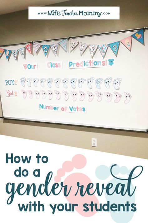 Gender Reveal Ideas For Teachers, Gender Reveal Classroom, Classroom Gender Reveal, Gender Reveal For Students, Maternity Leave Teacher, Gender Reveal Activities, Pregnant Teacher, Gender Guessing, Simple Gender Reveal