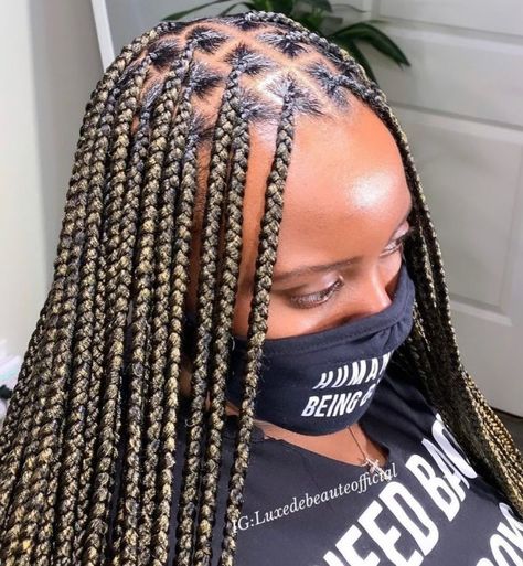 Highlighted Knotless Braids, Thick Knotless Braids, Knotless Braids With Highlights, Braids With Highlights, Knotless Braids Styles, New Trendy Hairstyles, Small Knotless Braids, Knotless Braids Hairstyles, Small Knotless