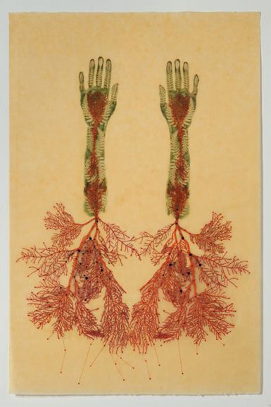 valerie hammond. arms, embroidery, color—gorgeous! Kiki Smith, Arte Inspo, Ap Art, Pics Art, Art Plastique, Artist Inspiration, Painting & Drawing, Two Hands, Art Inspo