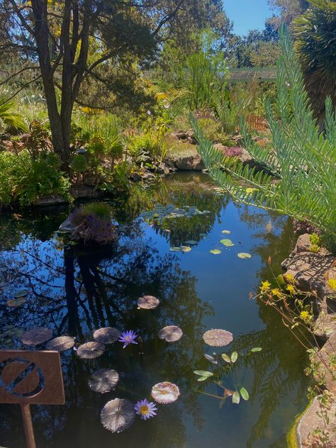 Coy Pond, Country House, Water