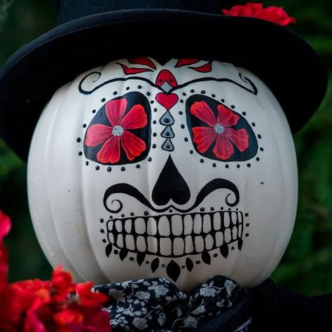 White Pumpkin Painting, Creative Pumpkin Painting, Pumpkin Decorations, Pumpkin Painting Ideas, Pumpkin Carving Ideas, Halloween Pumpkin Designs, Halloween Pumpkins Painted, Skull Pumpkin, Creative Pumpkins