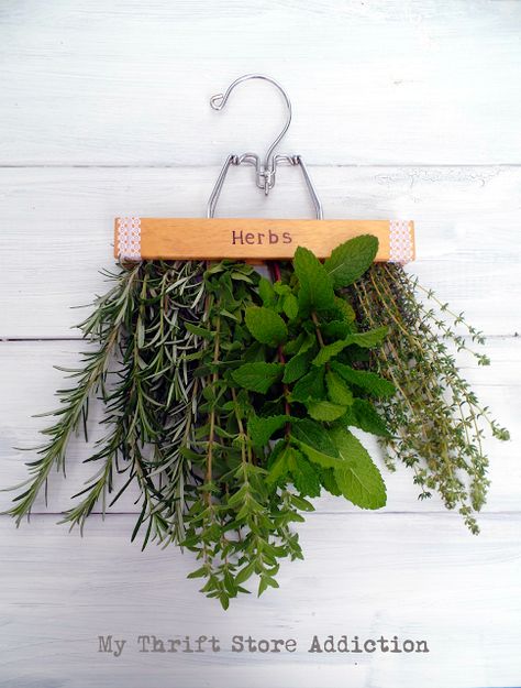 Repurposed herb drying rack available at secretgardenherbs.etsy.com Herb Drying Rack, Solaire Diy, Herb Drying, Hanging Herbs, Hydroponic Farming, Herbs Garden, Backyard Garden Layout, Herb Gardening, Gardening Techniques