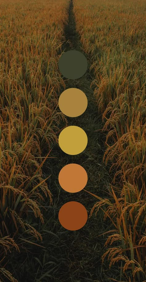 Vibrant Summer Color Palette, Harvest Color Palette, Color Pallate Ideas, Accented Neutral Color Scheme, Halloween Colour Palette, Colors Moodboard, Halloween Color Palette, Color Branding, Hex Color