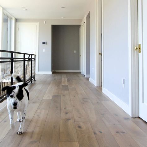 European White Oak Floors Wide Plank, Hunt House, European White Oak Floors, Ceiling Cladding, French Oak Flooring, White Oak Hardwood Floors, Oak Wood Floors, Oak Flooring, White Oak Floors