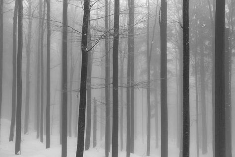 Ethereal Aesthetic, I Love Winter, Drawing Expressions, Gray Aesthetic, Pretty Box, Winter Aesthetic, Nature Aesthetic, White Aesthetic, Blue Aesthetic