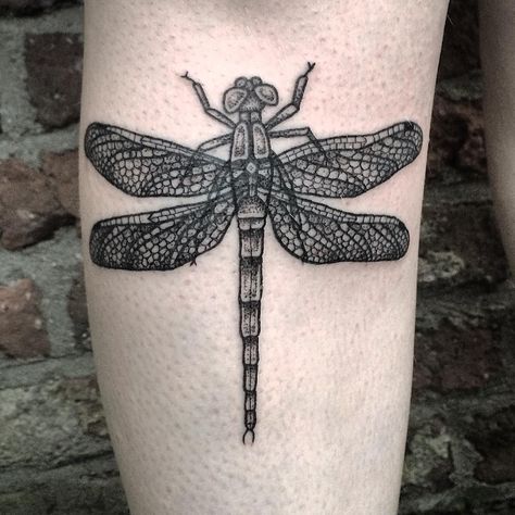 Sandra on Instagram: “Dragonfly for the very sweet Susi from today. ❤️Thanks for driving to Cologne to get tattooed by me.  #dragonfly #dotwork #blackwork…” Black Dragonfly Tattoo, Watercolor Dragonfly Tattoo, Small Nature Tattoo, Simple Tree Tattoo, Dragonfly Tattoos, Nature Tattoo Ideas, Small Dragonfly Tattoo, Mother Nature Tattoos, Dragonfly Tattoo Design