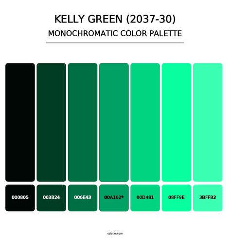 Benjamin Moore Kelly Green (2037-30) Paint coordinating colors and palettes Maximalist Classroom, Kelly Green Color Palette, Draw A Hexagon, Analogous Color Scheme, Split Complementary Colors, Rgb Color Wheel, Monochromatic Color Palette, Green Kitchen Cabinets, Green Paint Colors