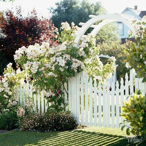 Landscaping with white roses will create a front yard or backyard that’s full of beauty. You’ll want to spend more time outside enjoying nature when you have a stunning landscape. Let these dazzling photos serve as your garden inspiration. Arbor Gate, Tor Design, Garden Gate Design, Fence Garden, Flowers Growing, Garden Arbor, Garden Entrance, White Picket Fence, Classic Garden