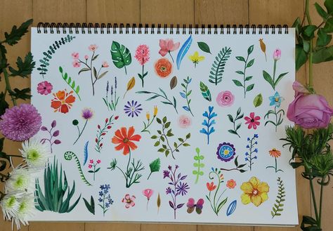 Different Plants and Flowers Flower Doodling, Gift Tags Wedding, Ceramic Cafe, Flowers To Paint, Watercolour Ideas, Sketchbook Illustration, Diy Watercolor Painting, My Notes, Watercolor Sketchbook