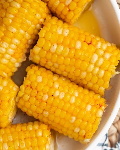 Quick and easy INSTANT POT CORN ON THE COB! 🌽 It's finished off with a honey butter glaze that truly takes this corn over the top. 🤤 And the best part? It's ready in just 15 minutes! Full recipe's on 40Aprons.com, get there by clicking the link in my bio. #40aprons #instantpot #instantpotlove #instantpoteats #instantpotmeals #instantpotrecipe #instantpotcooking #instantpotcorn #summerrecipes #corn #cornonthecob #cornonthecob🌽 Corn With Butter, Make Corn On The Cob, Honey Butter Glaze, Corn Party, Instant Pot Corn, Corn Food, Corn On The Cob Recipe, Corn Recipes Side Dishes, Sweet Corn Recipes