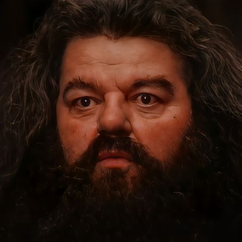 Harry Potter Marathon, Robbie Coltrane, Rubeus Hagrid, Harry Potter Christmas, Harry Potter Films, Famous Movies, Harry Potter Movies, Harry Potter Characters, Harry Potter Fantastic Beasts