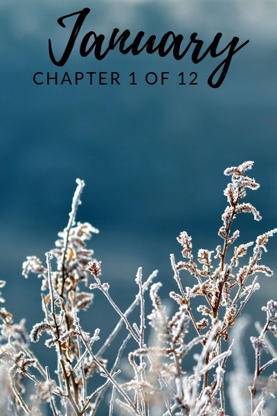 january, chapter one of twelve, RJ Scott MM Romance Author January Chapter 1 Of 12 Wallpaper, January Chapter 1 Of 12, Chapter 1 Of 12, January Books, Hello January, Planner Books, Good Morning Sunshine Quotes, Writing Romance, Sunshine Quotes