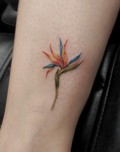 #diomeutattoo #tattoo #tattoos #madeiraisland #flowertattoo Madeira Island Tattoo, Costa Rica Inspired Tattoos, Costa Rica Tattoo Ideas, Arm Patchwork, Costa Rica Tattoo, Bird Of Paradise Tattoo, Island Tattoo, Paradise Tattoo, Travel Tattoos