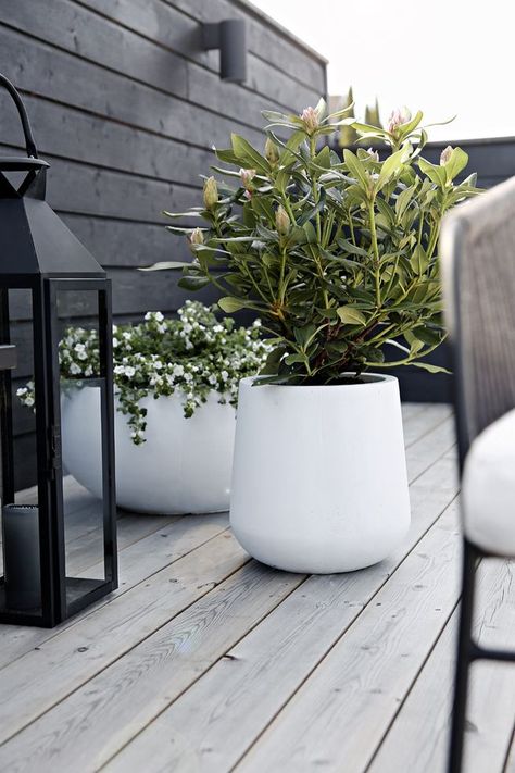 New flower pots in 1-2-3! Flower Pots Outdoor, Outdoor Pots, Have Inspiration, Outdoor Flowers, Terrace Garden, Back Garden, Outdoor Planters, Front Garden, Outdoor Plants