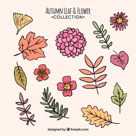 Free Vector | Set of hand drawn autumn leaves and flowers Fall Leaves Drawing, Brush Pattern, Fall Flower, Autumn Flowers, Leaf Drawing, Leaf Flowers, Royal Icing Cookies, Fall Flowers, Flower Drawing