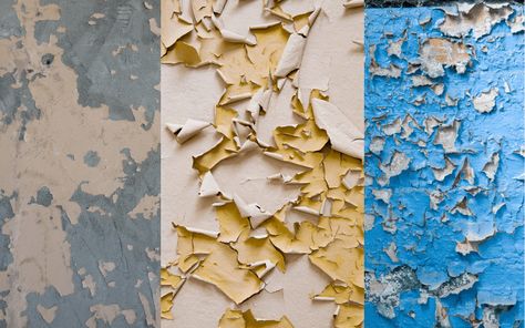 Flaking paint is a common occurrence when you start decorating. The trick to flaking paint is not to start scraping it away because you will have patches of plaster and paint. You need to keep your wall smooth and ready for a fresh coat of paint, taking away layers of paint will create a patchwork […] The post What To Do About Flaking Paint Before Painting? appeared first on Wezaggle. Smooth Walls, Happy Paintings, Paint Cans, Wall Paint, Interior Walls, Gardening Tips, Wall Painting, Mood Board, To Start