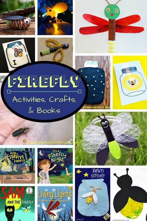 This collection of firefly activities, firefly crafts, and books about fireflies is perfect for learning about fireflies and lightning bugs. Firefly Classroom Theme, Firefly Activities, Firefly Crafts, Lightning Bug Crafts, Firefly Theme, Preschool Bug Theme, Firefly Craft, Summer Preschool Themes, Fireflies Craft