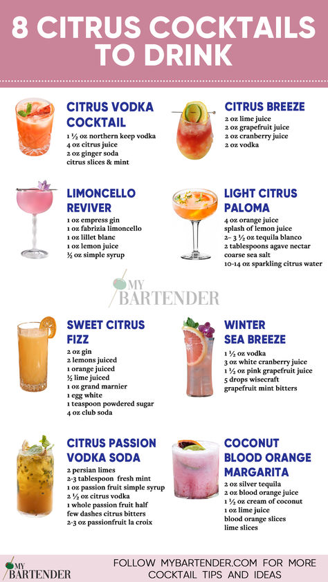 Citrus Cocktails Chic Cocktail Attire, Food For Fitness, Ginger Soda, Bartender Drinks Recipes, Bartender Drinks, Citrus Vodka, Citrus Cocktails, Cocktail Drinks Alcoholic, Yummy Alcoholic Drinks