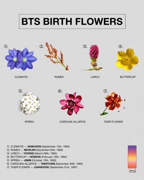 jae on Twitter: "what’s your birth flower?… " Bts Birth Flowers, Tattoo Ideas For Men Back, Purple Island, Tattoo Bts, Tattoo Leggings, Kpop Tattoos, Bts Tattoos, Birth Flower Tattoos, Bts Facts