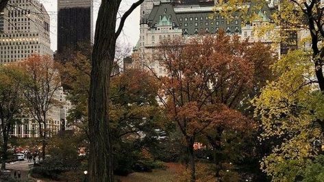 Autumn In New York, Fall Mood Board, Season Of The Witch, Fall Feels, Best Seasons, Fall Aesthetic, Autumn Aesthetic, Yule, New Yorker