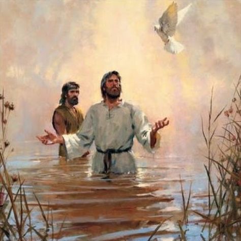 Matthew 3:16-17  "And when Jesus was baptized, immediately he went up from the water, and behold, the heavens were opened to him, and he saw the Spirit of God descending like a dove and coming to rest on him; and behold, a voice from heaven said, “This is my beloved Son, with whom I am well pleased.” Jesus Baptised, Baptism Of Christ, Bible Pictures, Prophetic Art, Jesus Wallpaper, Jesus Lives, Biblical Art, Jesus Images, Jesus Art