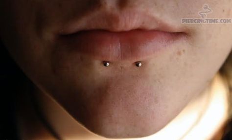 dolphin bites Dolphin Bites, Unusual Piercings, Body Modification Piercings, Gauges Piercing, Face Piercings, Cool Piercings, Snake Bites, Cute Piercings, Tongue Piercing