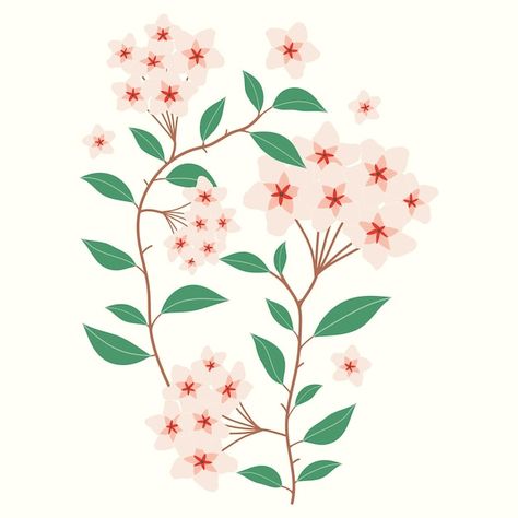 Hoya carnosa flower illustration | Premium Vector #Freepik #vector #botanical-pattern #flower-art #garden-pattern #botanical-garden Hoya Flowers, Hoya Carnosa, Flower Illustrations, Floral Illustration, Flower Illustration, Premium Vector, Seamless Patterns, Graphic Resources, Pattern Design